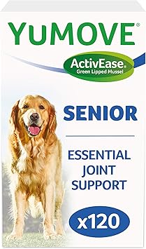 older dog joint supplement
