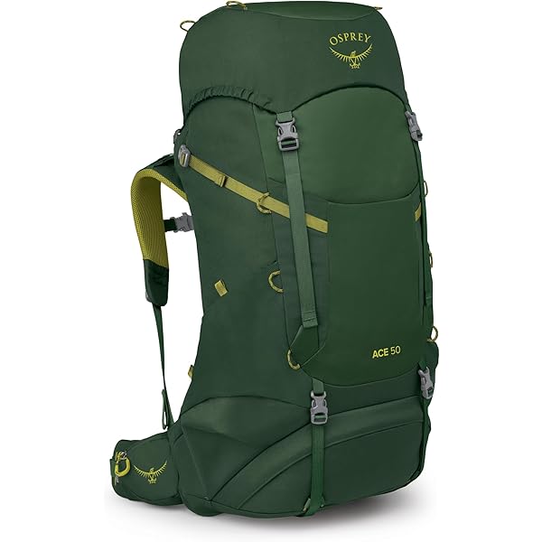 Amazon.com : Osprey Ace Kids' Backpacking Backpack : Sports