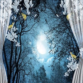 3d Wall Mural Wallpaper Natural Scenery Peaceful Night Forest Moon Room Landscape Window View Bedroom 0x140cm Amazon Com