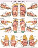 Reflexology Poster (22 x 28 inches): Laminated QuickStudy Anatomy Reference