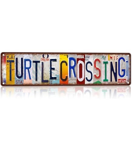 Amazon.com: Signs 4 Fun Decorative Crossing Sign | Zombie Xing