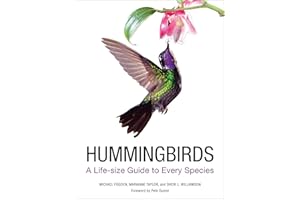 Hummingbirds: A Life-size Guide to Every Species