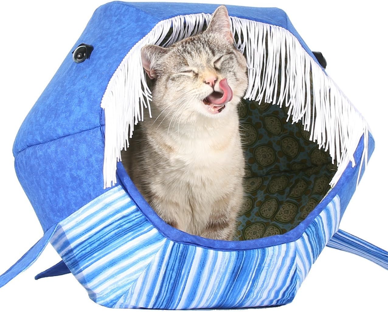 whale cat bed