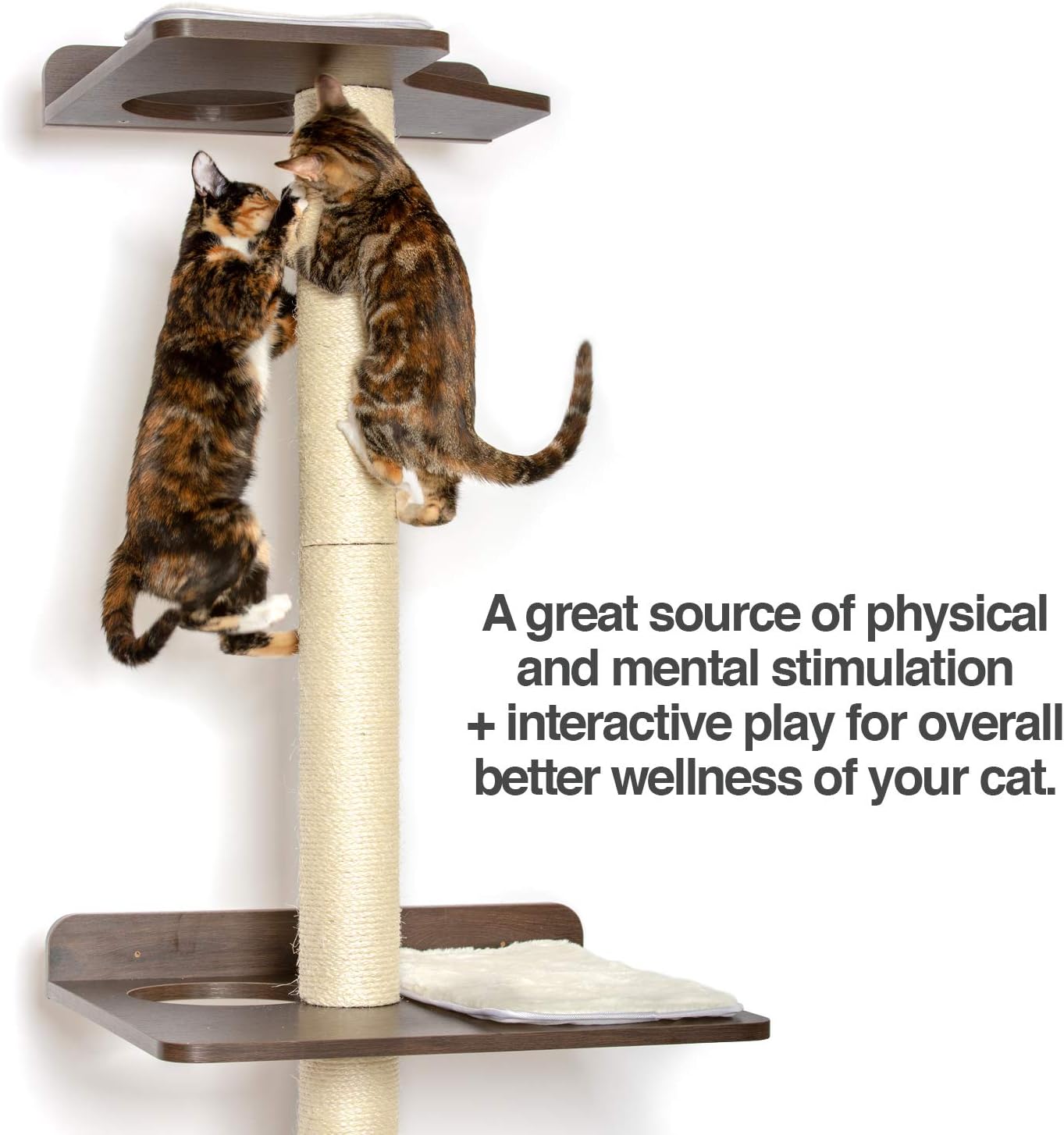 PetFusion Ultimate Cat Climbing Tower & Activity Tree. (24 x 20.8 x 76.8 inches (lwh) Tall Sisal Scratching Posts, Modern Wall Mounted cat Furniture, Espresso Finish). 1 Year Manufacturer Warranty : Pet Supplies