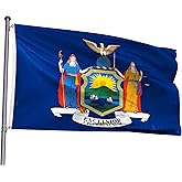 New York State Flag 5x8FT NY Flag Polyester Vivid Color With 2 Brass Grommets For New York Themed Festival Events Party Decoration Indoor Outdoor (NY, 5x8ft)