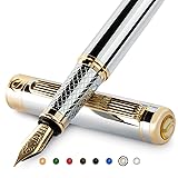 Scriveiner Silver Chrome Fountain Pen - Stunning