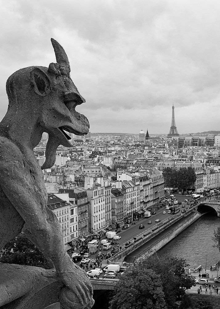 "Gargoyle" Fine Art Print, Paris, Notre Dame Cathedral, Gothic, Eiffel Tower, France, Seine River, Ile de la Cite - Travel Photography, Print, Wall Art