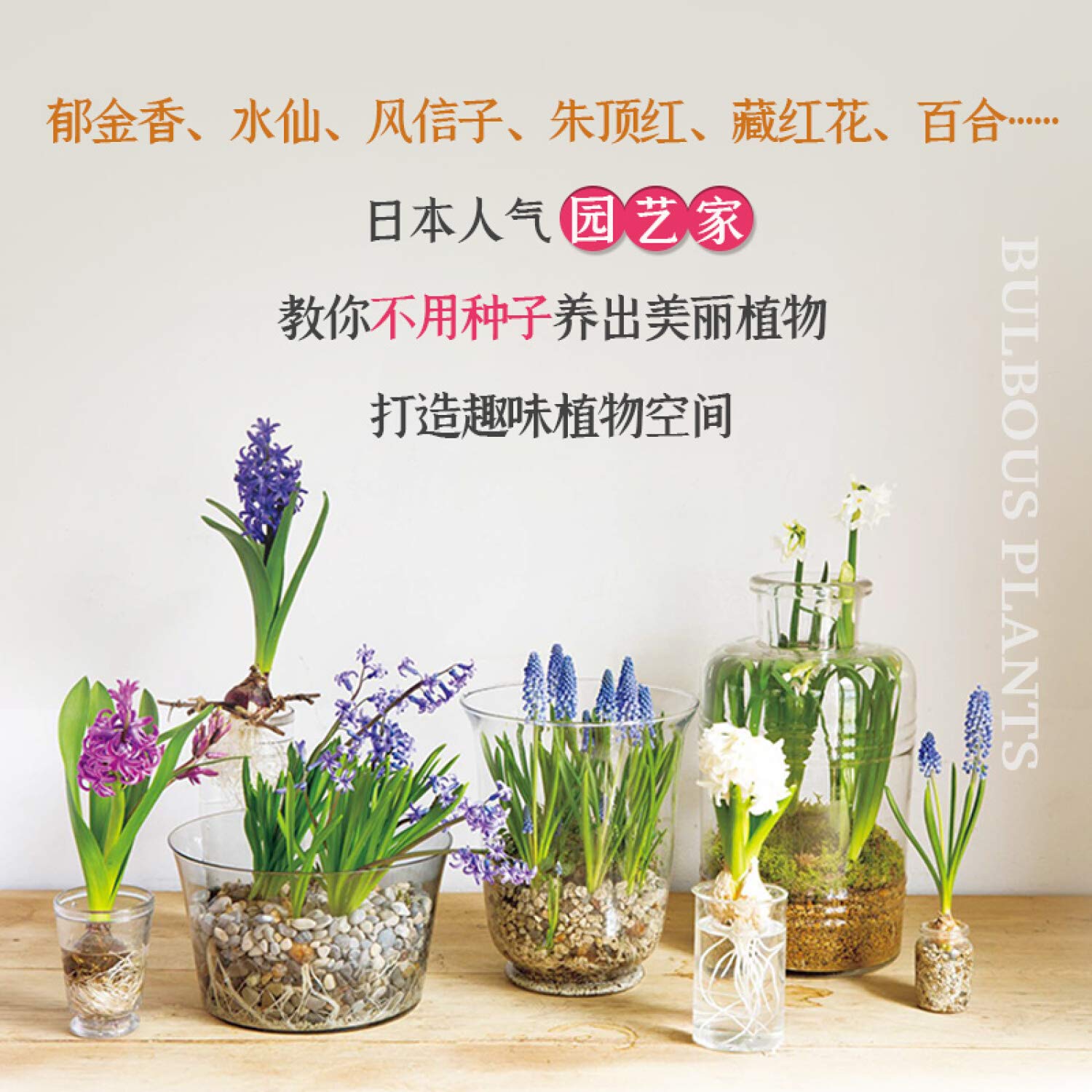 球根花卉趣生活 日 松田行弘 凤凰空间出品 Amazon Com Books