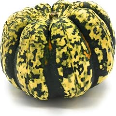 Organic Carnival Squash, 1 Lb