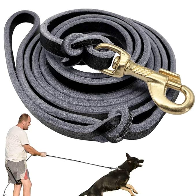 Didog Genuine Leather Dog Leashes, 8 Foot Professional