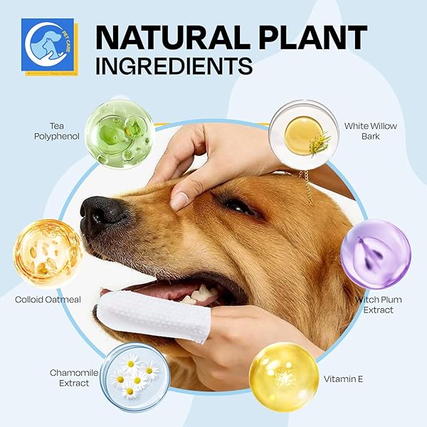 PUPMATE DENTAL CARE WIPES FOR DOG & CAT- TEETH CLEANING FINGER WIPES FOR PLAQUE AND TARTAR REMOVAL, SAFE & GENTLE DISPOSABLE TOOTHBRUSH WIPES FOR FRESH BREATH & GUM CARE – 50 PCS