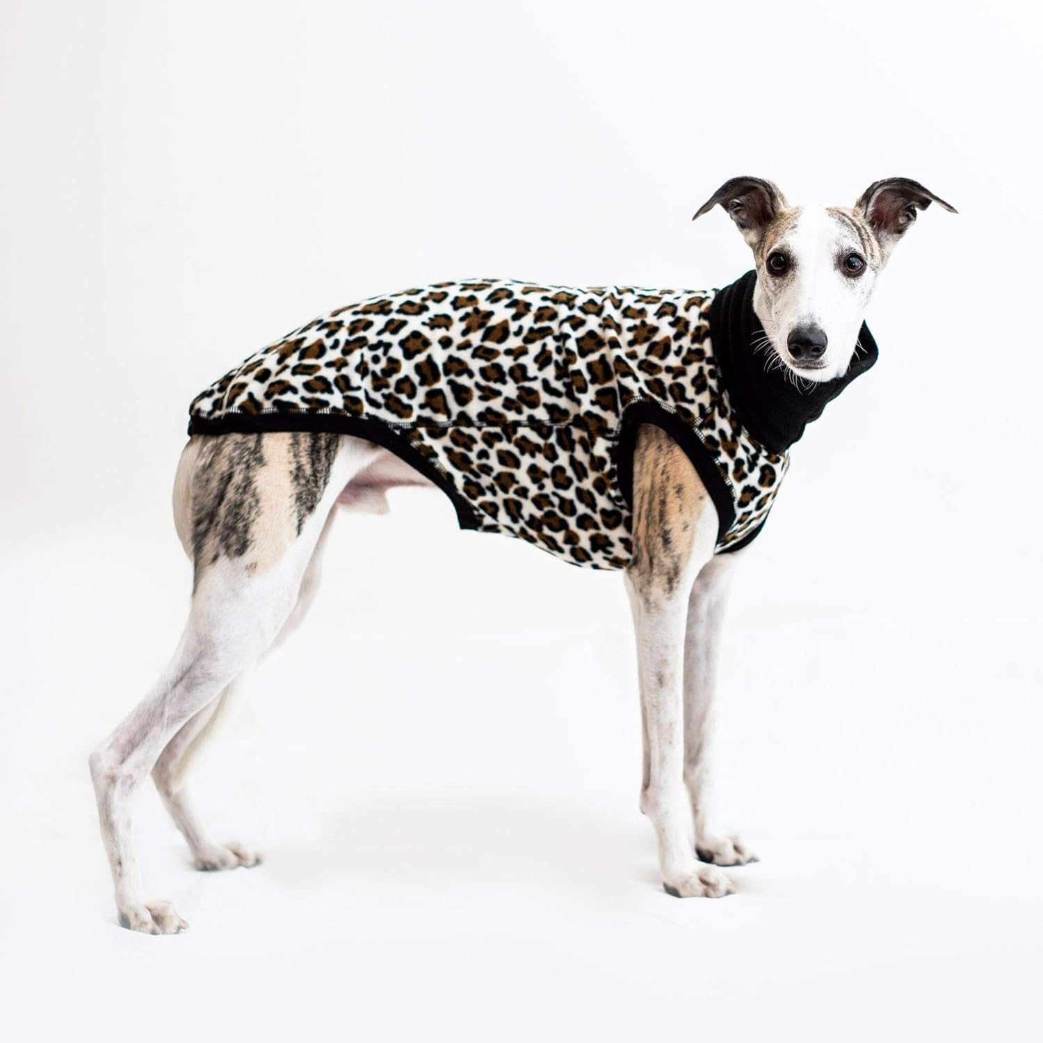 Dogsnug Fleece Dog Jumper Winter Sweater Coat Waterproof Sighthound