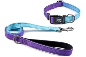 Roses&Poetry Dog Collar and Lead for Small, Adjustable Durable 5ft Puppy Leash Collar for Dog Training Lead (Violet-S)