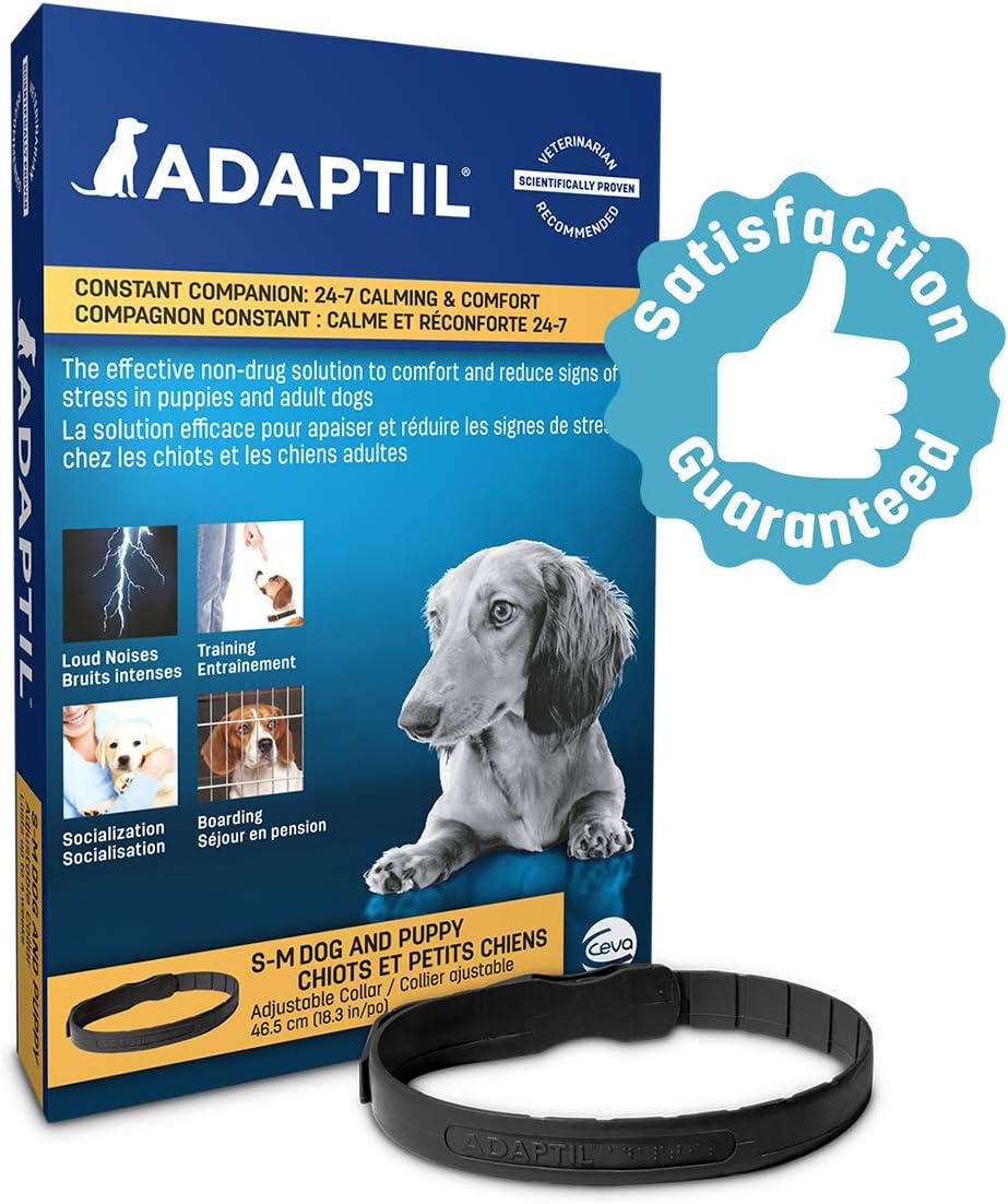 ADAPTIL Collar for Small Dogs Calms & Comforts Dogs During Training