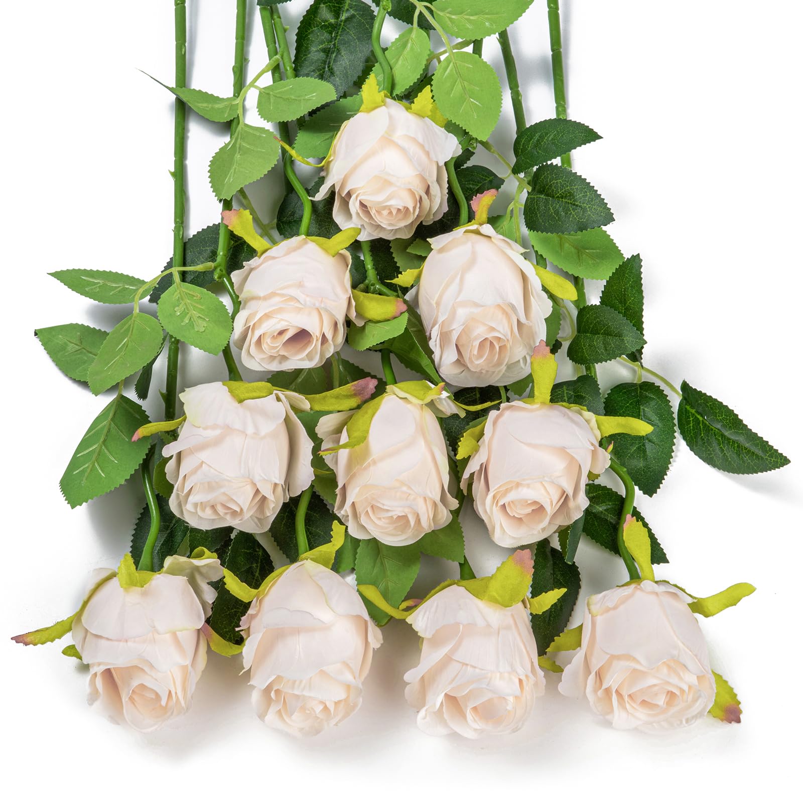 DuHouse 10pcs Artificial Silk Roses Flowers Single Long Stem Fake Rose Bouquet for Wedding Home Party Decoration Centerpieces(Beige) — image 1