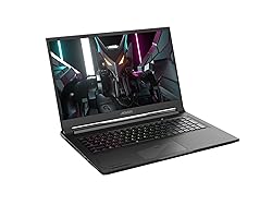 GIGABYTE AORUS 17X: 17.3" 16:9 Thin Bezel QHD