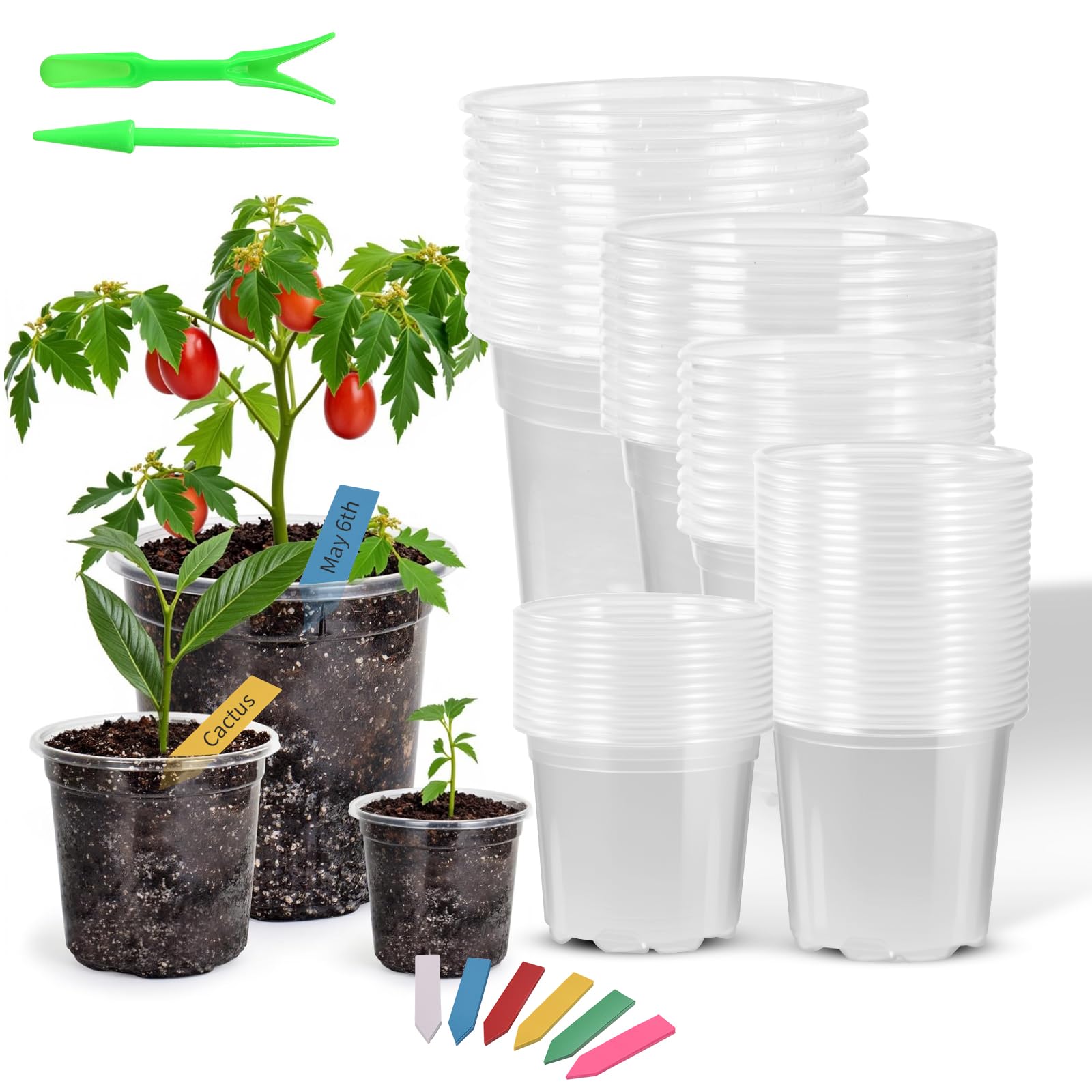 Photo 1 of 60 Pack Clear Nursery Pots with Drainage Holes, 3.5/4/5/6/7 Inch Clear Plastic Pots for Plants, Reinforced Transparent Nursery Pot with 60 Colorful Plant Labels 2 Garden Tools