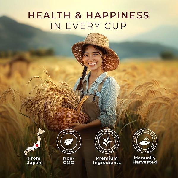 GYA TEA CO BARLEY HERBAL TEA POD (16 CT) – DECAF WELLNESS TEA RICH NUTRIENTS FOR DIGESTIVE HEALTH & NOURISH