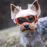 Enjoying Dog Goggles UV Protection Small Breed Soft TPU Frame Orange view 6