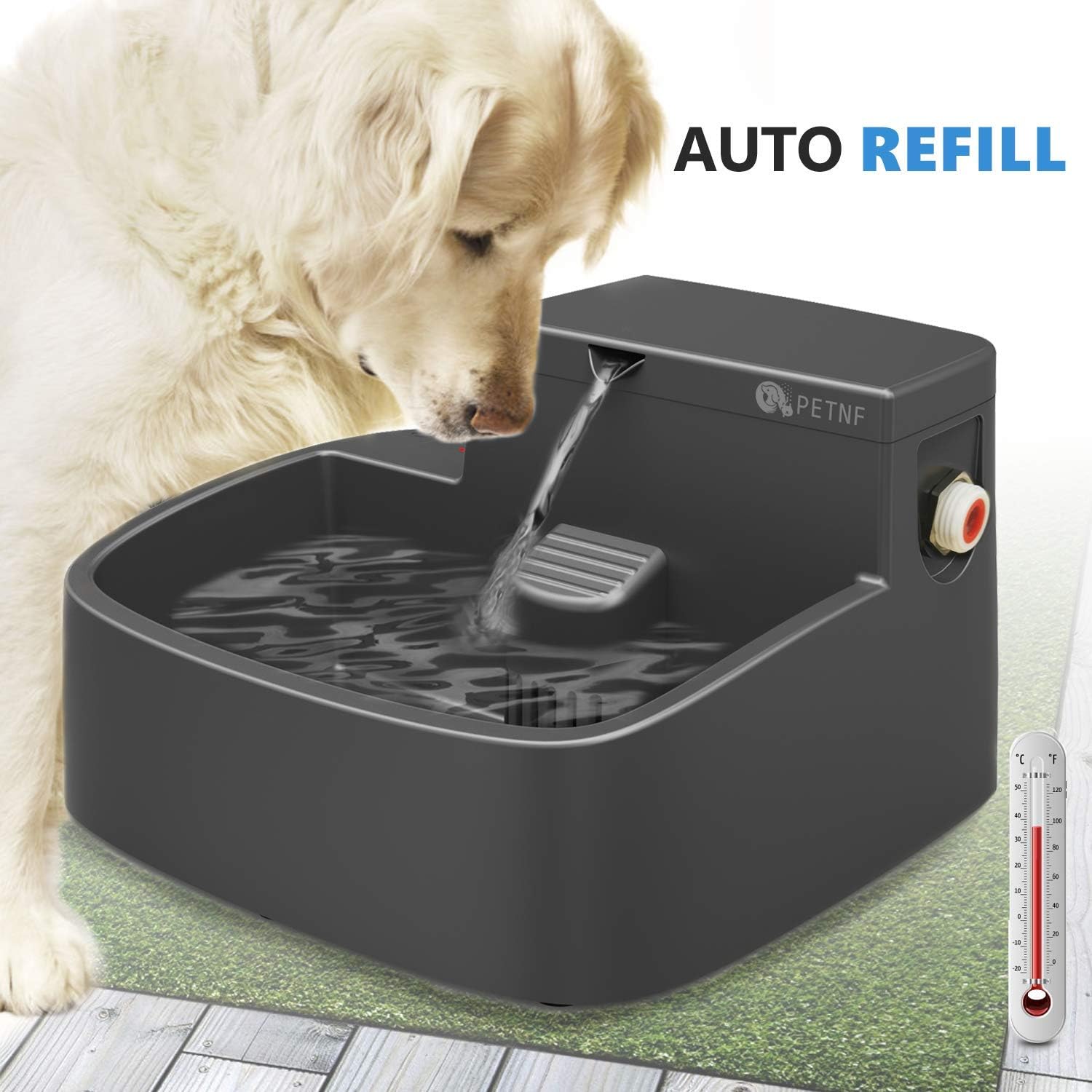 Pet Supplies : 2020 Newest Dog Water Fountain Auto Refill Outdoor