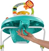 Bright Starts Zig Zag Zebra Baby Walker with Steering Wheel Lights Songs view 6