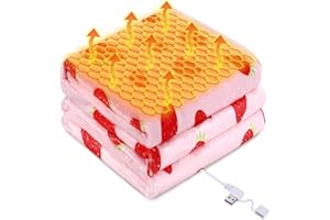 USB Powered Heated Throw Blanket for Women,50"X60" 9V 18W Portable Strawberry Print Electric Heating Blanket with 3 Heat Sett