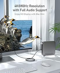 uni USB C to DisplayPort Cable for Home Office