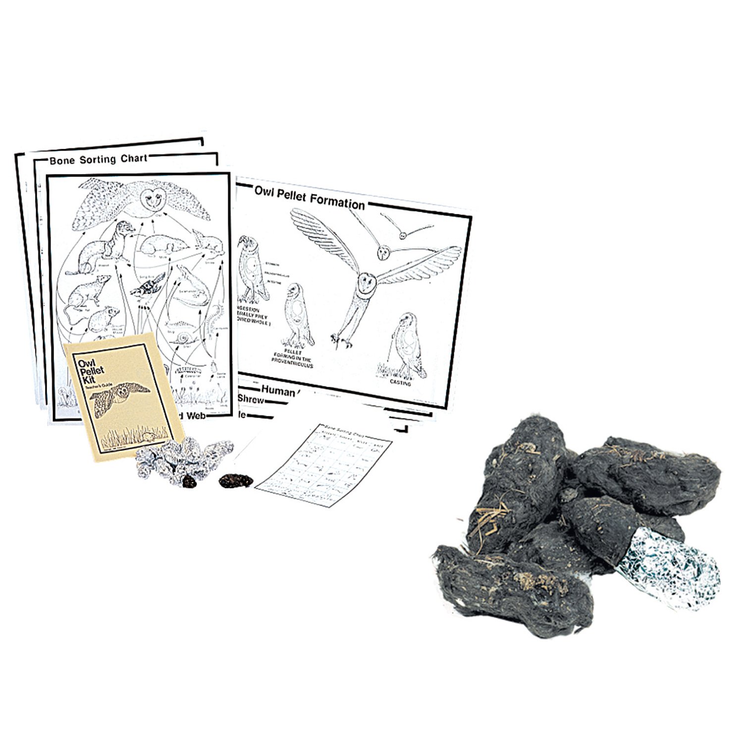 Amazon Com Pellets Pelkdl14 Student Owl Pellet Deluxe Classroom