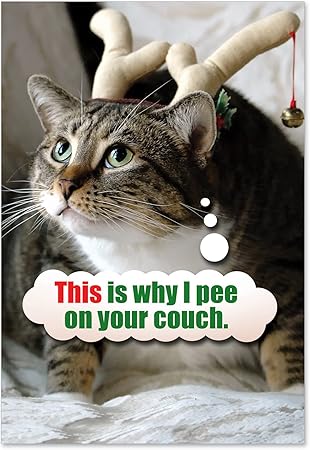 Amazon Com 12 Pee On Couch Boxed Christmas Cards With