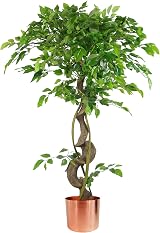 Leaf Realistic Ficus Tree Twisted Copper 120 cm Indoor Plant
