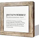 Perseverance Definition Wooden Box Sign for Office - Inspirational and Motivational Desk Decor Gift for Home, Classroom