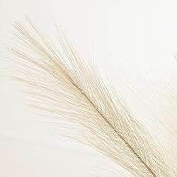 U-LIAN 36PCS Faux Pampas Grass 21.7 Inch, Small