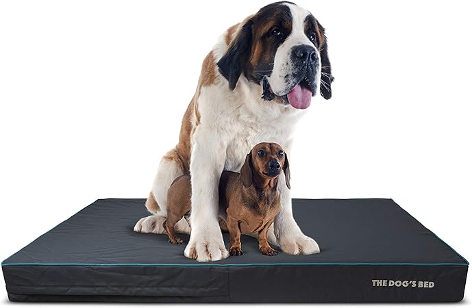 waterproof dog beds amazon