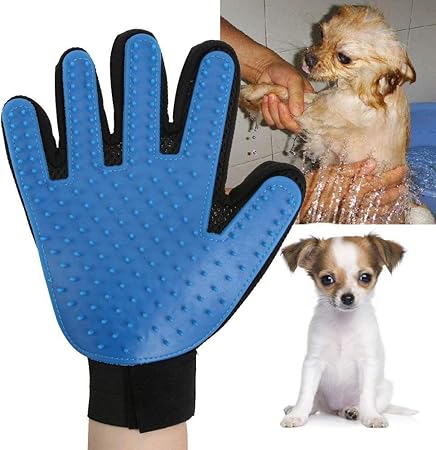 cat brush glove amazon