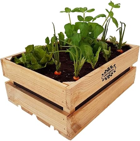 Caja de madera Huerto Urbano Vergea: Amazon.es: Jardín