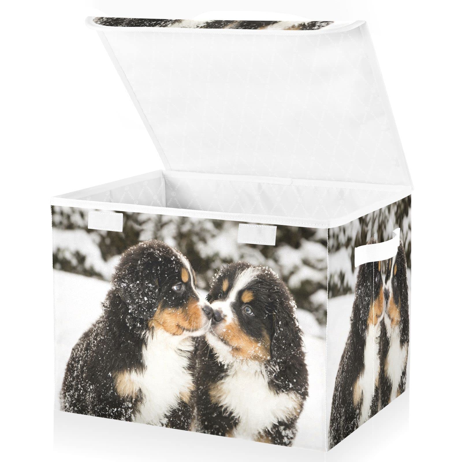 Mnsruu Storage Boxes with Lids, Snow Bernese Mountain Dog Puppets Large Storage Basket Organizer Shelves Cube Bin Toy Clothes Underbed