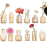 Glass Bud Vases Set of 12 Small Clear Amber Vases for Centerpieces Mini Glass Vases in Bulk Vintage Vases Assorted Tiny Flower Vase for Baby Shower Wedding Floral Arrangements Home Table Decorations