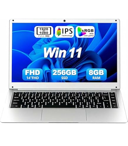 Amazon.com: Lenovo IdeaPad 1, 14