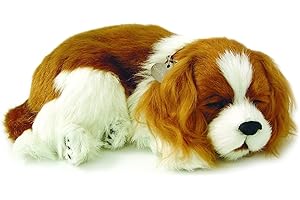 Original Petzzz Cavalier King Charles, Realistic, Lifelike Stuffed Interactive Pet Toy, Companion Pet Dog with 100% Handcrafted Synthetic Fur – Perfect Petzzz