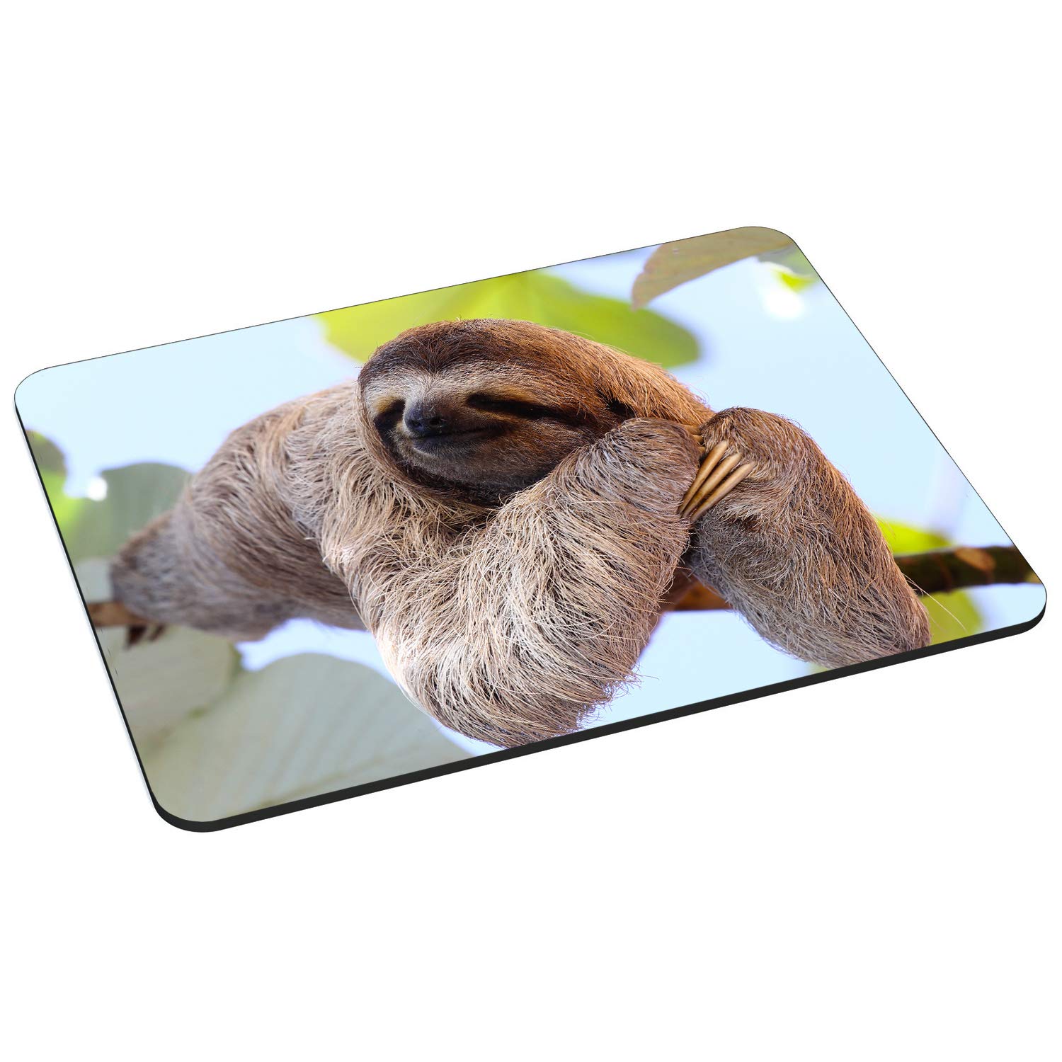PEDEA Design Mouse Pad, Chilling Sloth