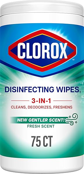 CLOROX DISINFECTING CLEANING WIPES, BLEACH FREE, FRESH SCENT, 75 COUNT, PACK OF 6 (PACK MAY VARY)
