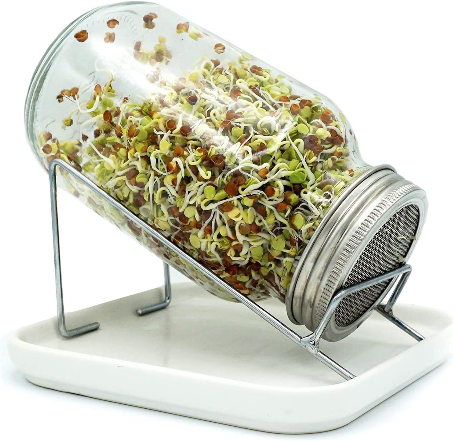 Twist & Sprout Sprouting Jar Kit for sprouting seeds includes one jar