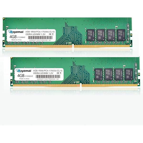 Amazon.com: Patriot Memory Signature DDR5 RAM 32GB (1X32GB