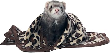 bedlington terrier puppies rescue