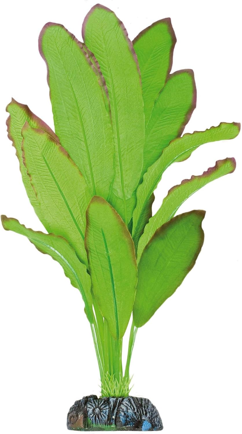 ICA AP1110 Echinodorus Spidemet Silk Plant, Green