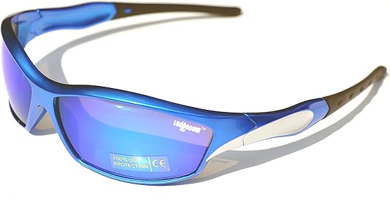 revo sunglasses hard case