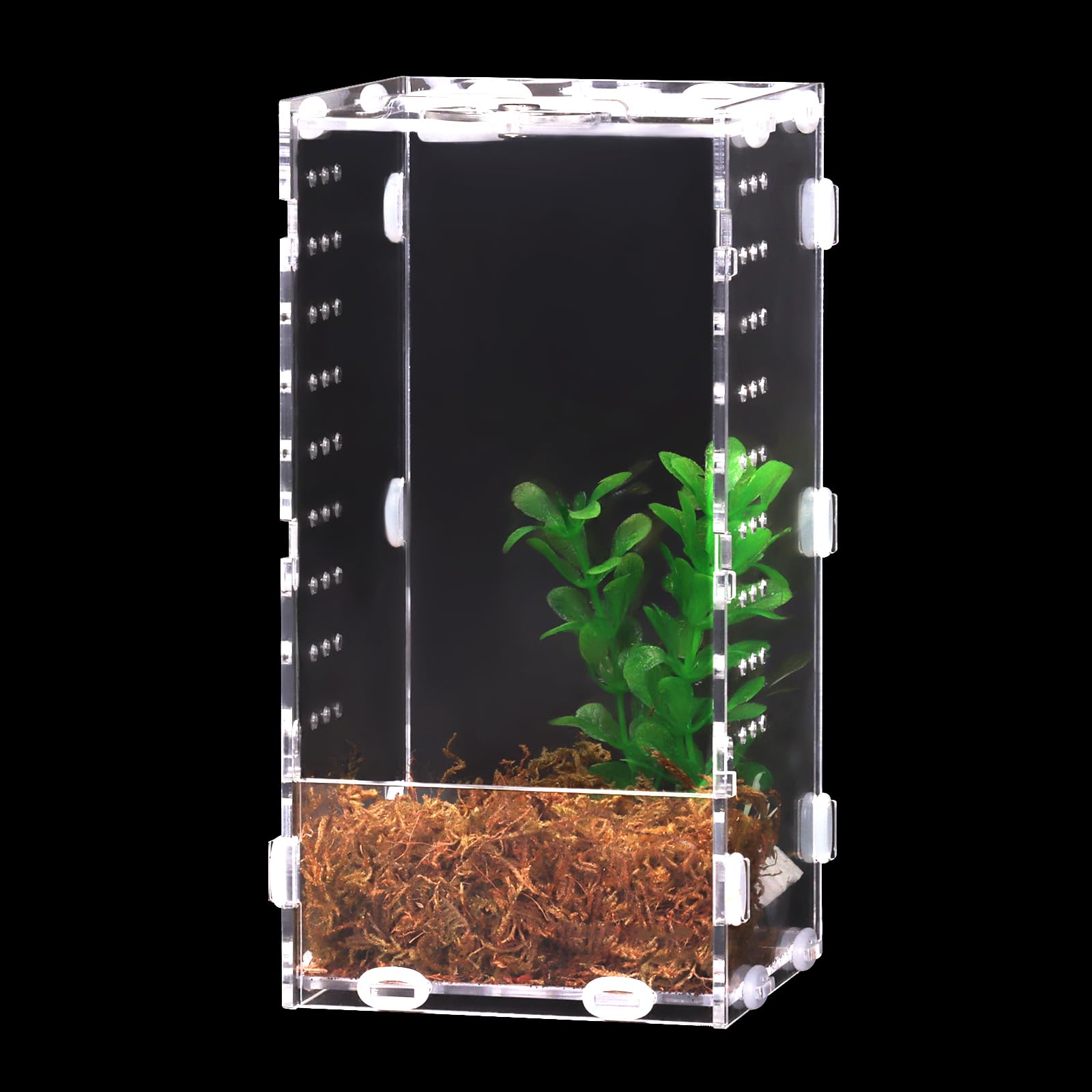 DERNORD Acrylic Jumping Spider Enclosure - 20x10x10CM Reptile Acrylic Box Mini Terrarium for Praying Mantis Jumping Spiders Turtle Tank