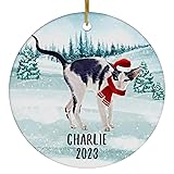 Santa Hat and Scarf Welcome Winter Bicolor Oriental