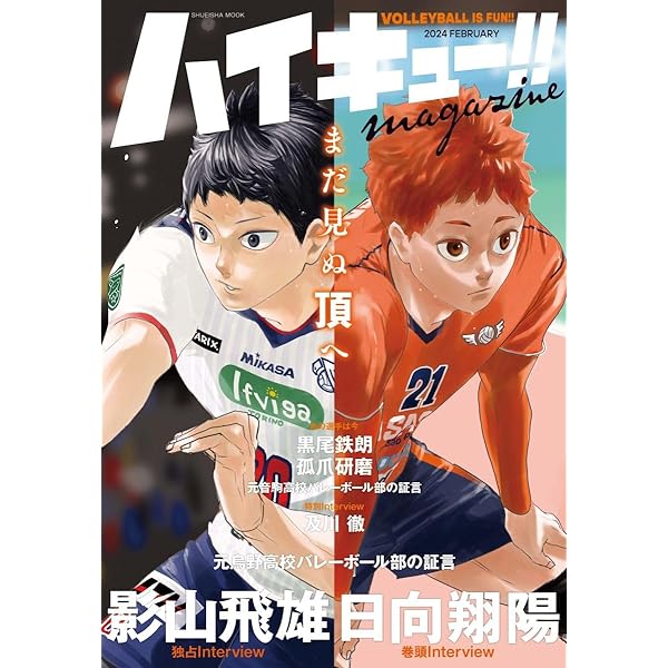 Amazon.com: HAIKYU!! : 10TH CHRONICLE EDITION COLLECTOR FORMAT