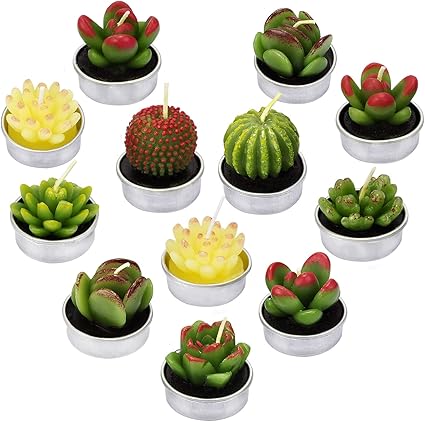 La Bellefee Candele Cactus Candela Succulente Piante Verde Per Decorazioni Casa Natale Compleanno Bomboniere Matrimonio Cena Feste 12 Pezzi Amazon It Casa E Cucina